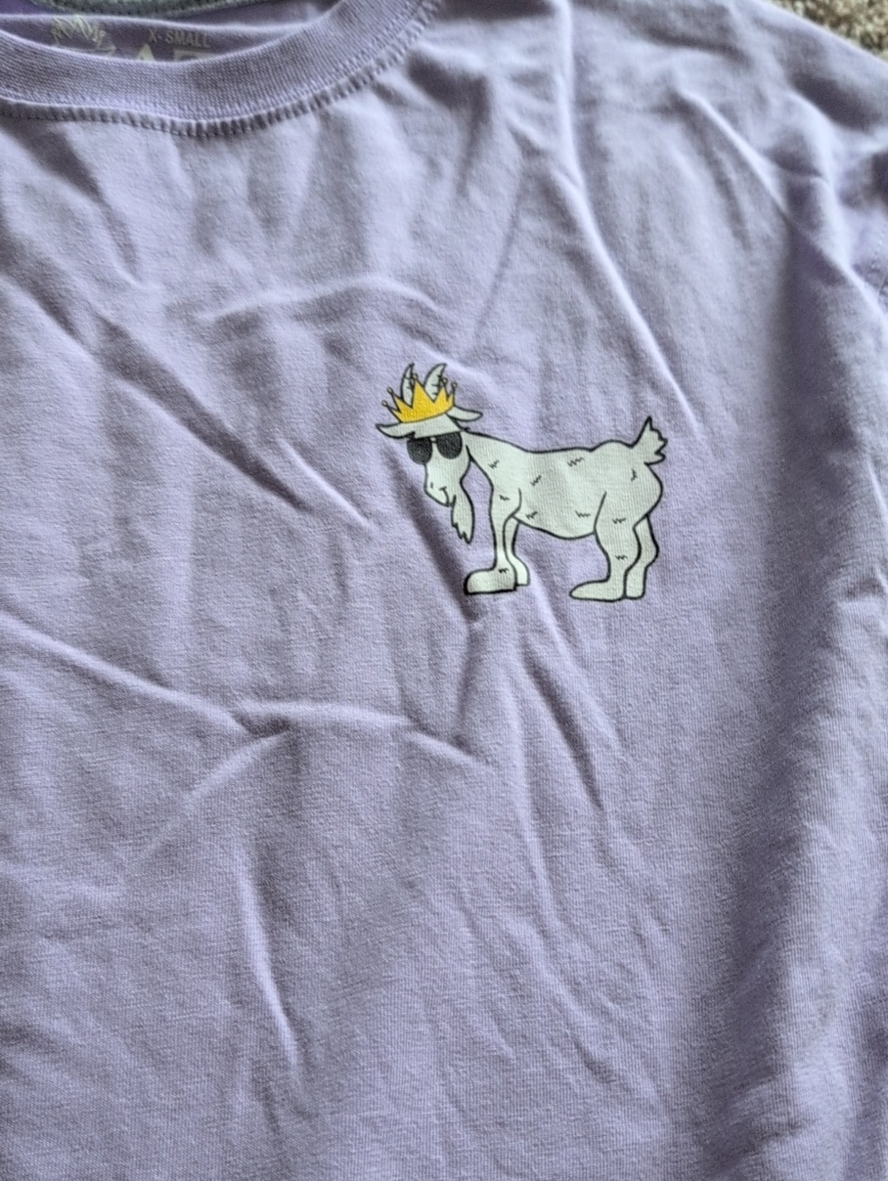 GOAT USA Lavender Purple Graphic Tee Lokg Sleeve Adult Xsmall